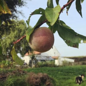 Cadeausje gelaatsverzorging